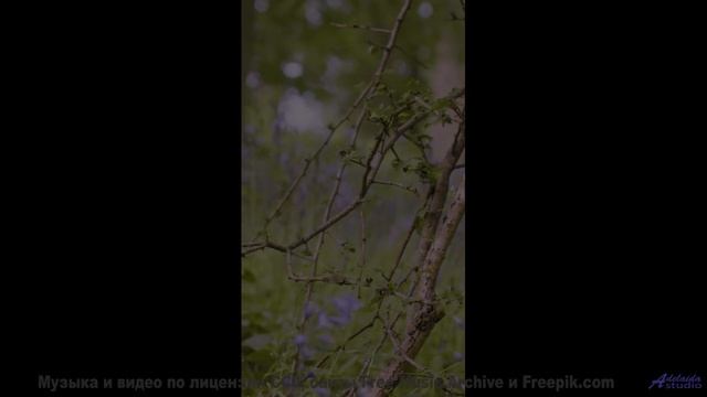 Музыка, которая превращает зиму в волшебство! - So My Love - Instrumental (Lower Key) -- Anthem of R