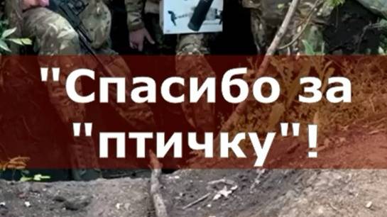 Спасибо за птичку!