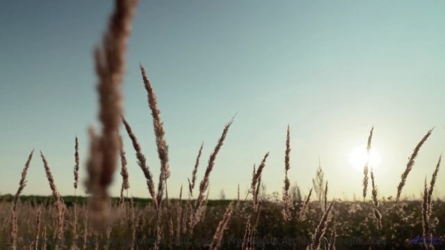 Пейзажи проникают в душу под этот трек - Beetles -- Ketsa -- Metaphysics