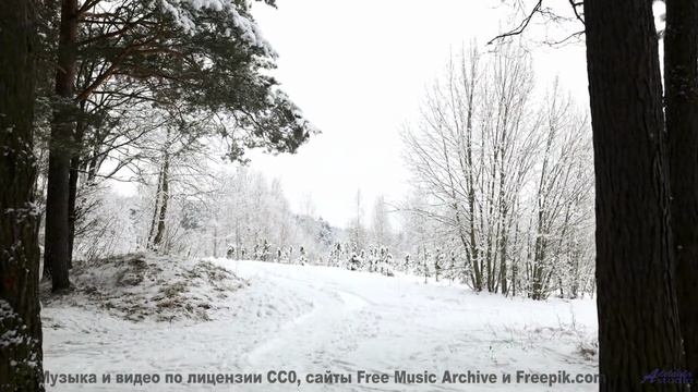 Клип, созданный на нейтринном детекторе - искусство и наука сливаются! - Nocturn -- M33 Project -- U