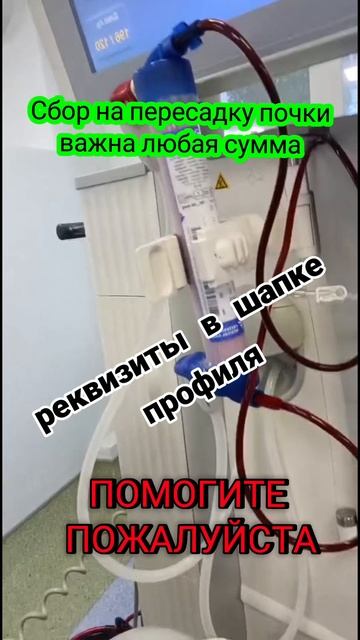 сбор на пересадку почки