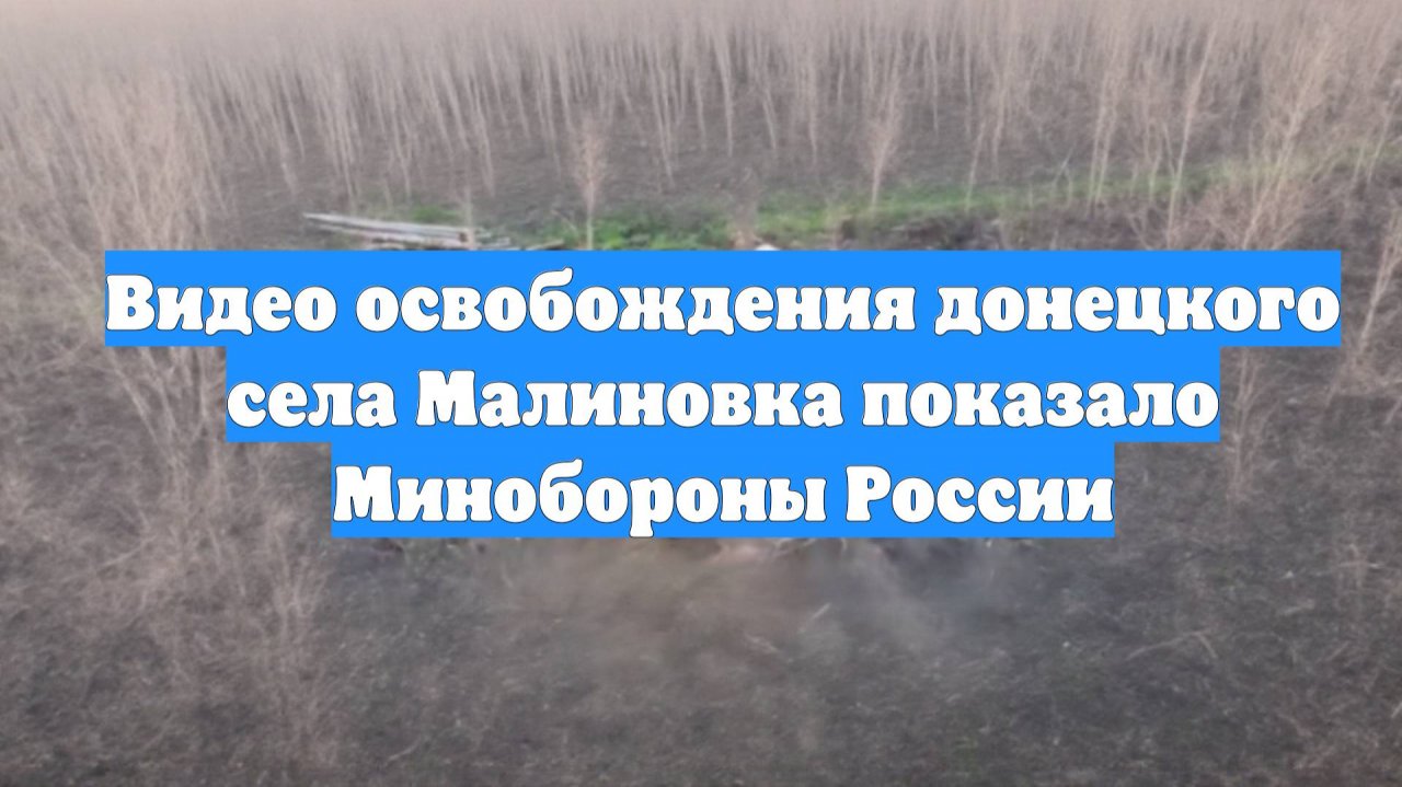 Видео освобождения донецкого села Малиновка показало Минобороны России