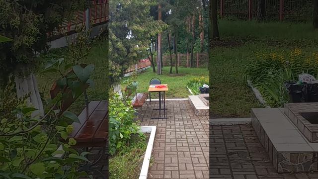 Детская железная дорога