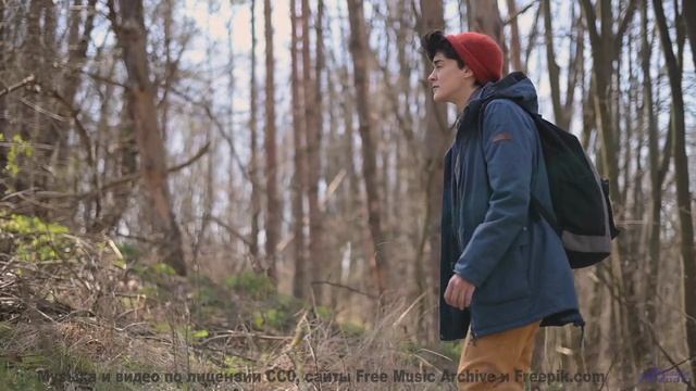 Эта мелодия генерируется вашим мозгом в реальном времени - попробуйте! - The Gallery (Now!) -- Krest