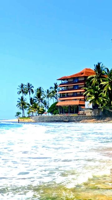 Всё, что скрыто в кадре