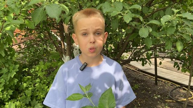 Печенкин Семён, 10 лет, г.Курган. Агния Барто «Однажды я разбил стекло»