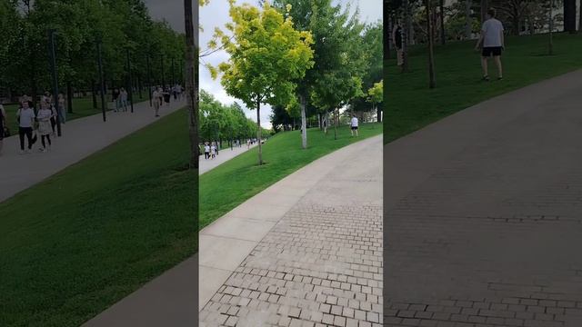 Парк Галицкий