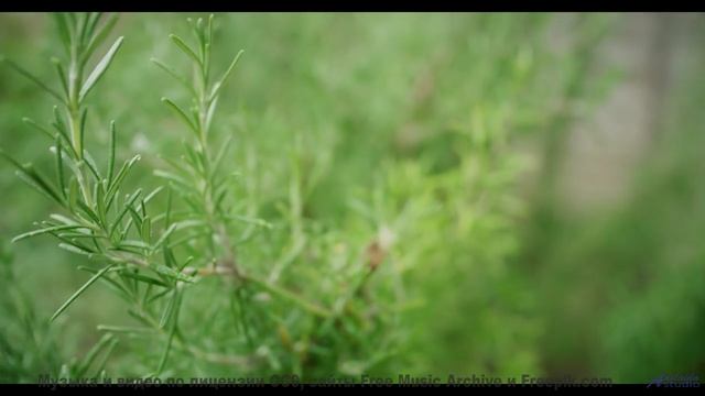 Ты НЕ ПОВЕРИШЬ, что это не монтаж! - I Can Do Better -- Derek Clegg -- Stop the Line (10th anniversa