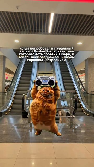 copy_8CA7CFC6-6D99-4EF5-9C91-2691F518149E