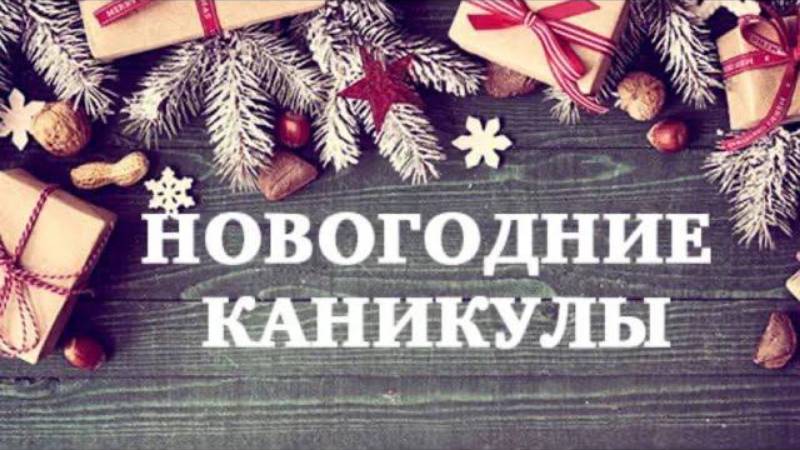Новогодние каникулы / Эльбрус