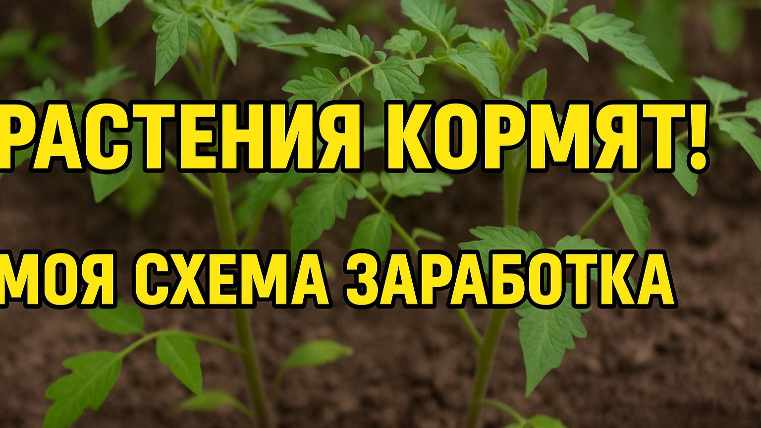 Как заработать на растениях — схема, которая реально работает!