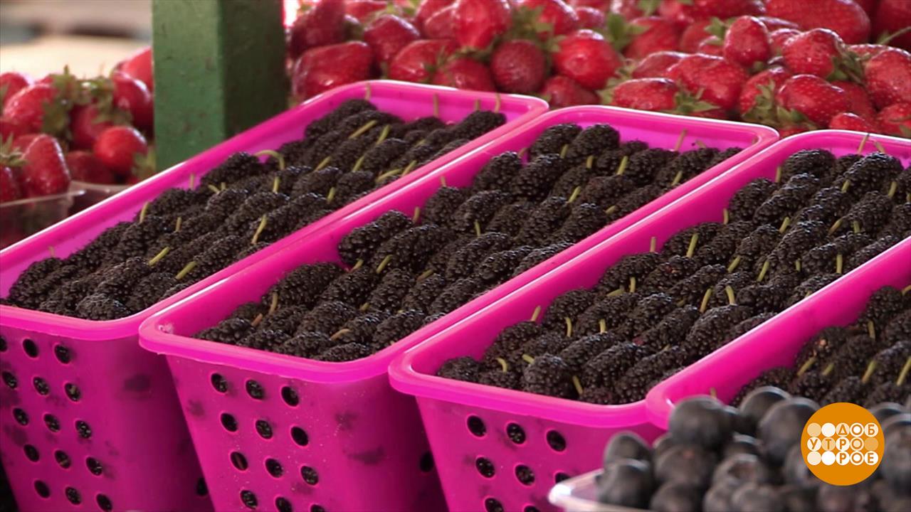 Сезонные ягоды и фрукты: откуда приехали? Доброе утро. Фрагмент выпуска от 16.06.2025