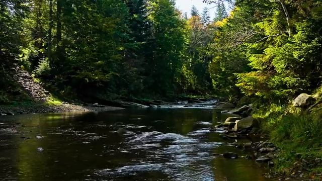 Успокаивающие звуки природы и журчание водички часть 5