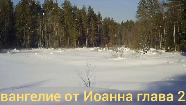 Библия Евангелие от Иоанна глава 20