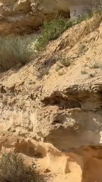 Скальная тропа между отвесной скалой и морем в 1,5 км.набережной г.Актау. Светлана Михаленко. МНШУ