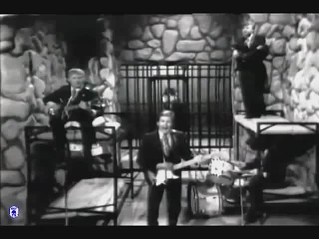 I Fought the Law - The Bobby Fuller Four