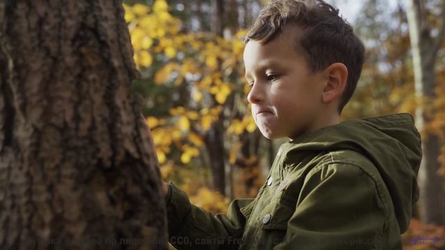 Этот контент создан для жителей будущего - но доступен вам сейчас! - Aniseed Grove -- One Man Book -