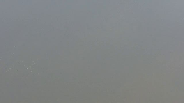 Еланчик с высоты 12