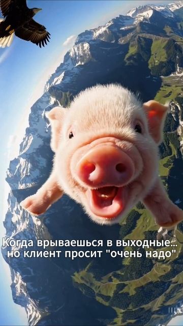 Выходной отменяется. Я лечу!

#бьютиюмор #жизньмастера #принимаювсегда