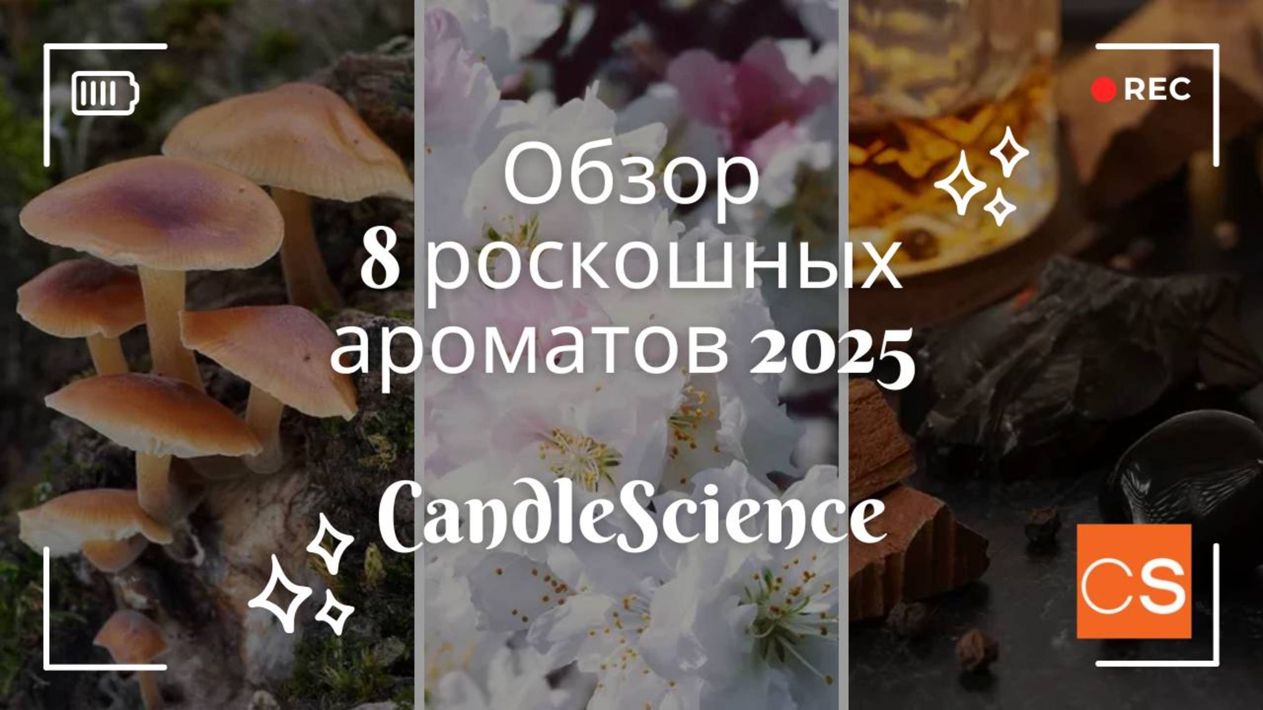 Обзор на 8 роскошных ароматов 2025 от CandleScience для свечей