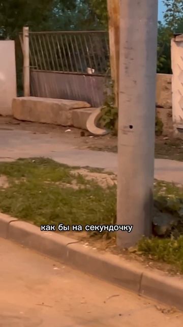 Просто треш! И ничего с этим не делают! #lifestyle #momlife #blog #comedy #scary #life