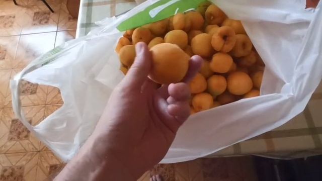 Лёша нарвал абрикосы 🍏 2025