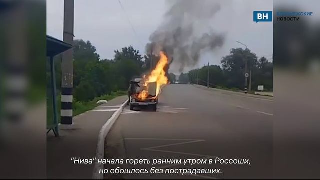 Прямо на дороге загорелась легковушка в Воронежской области
