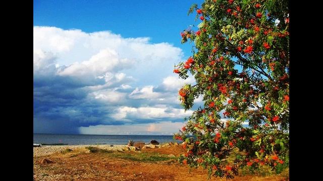 Приходит время звездопада...