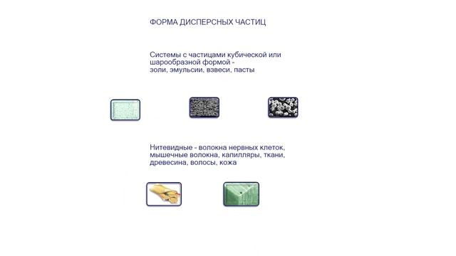 Кравцова Е.Д.