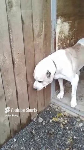 1000003159.mp4