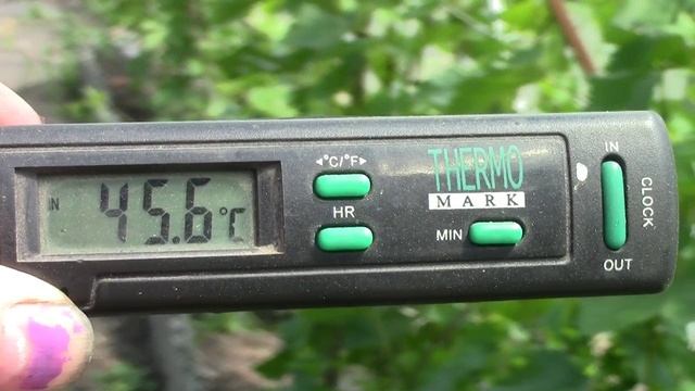 Муромцево 15 июня 2025г  Соберается дождь