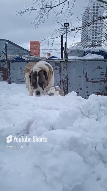 1000003150.mp4