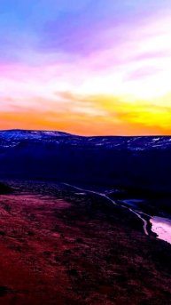 Моменты в объективе