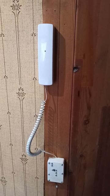 Открывание домофона при помощи Алисы