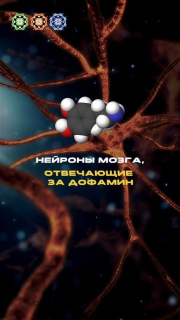 ❗️Новое исследование из Королевского колледжа Лондона раскрыло тревожную правду⬇️ #здоровье #shorts