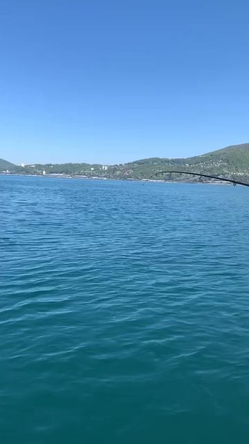 Помаленьку рыбачим ставридку в Адлере.