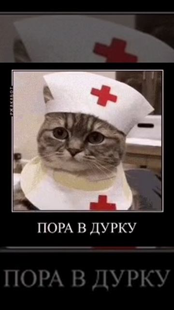дурка
