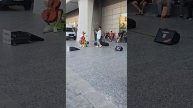Скрипачи на улице Турции