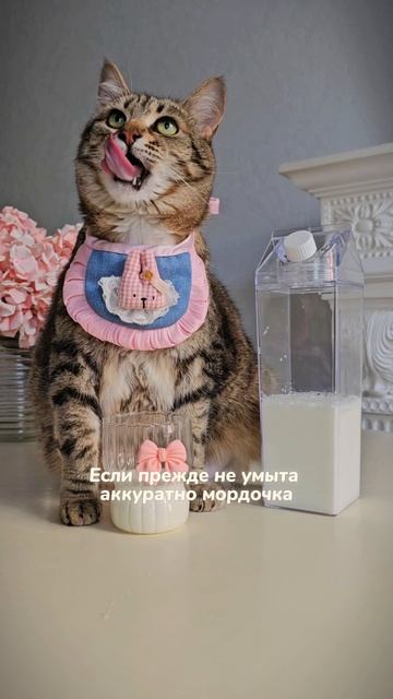 А вы любите молочко?