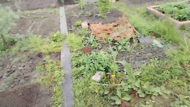 Внучки в гостях.Посадили перец 🌶️,огурцы 🥒,помидоры 🍅.
