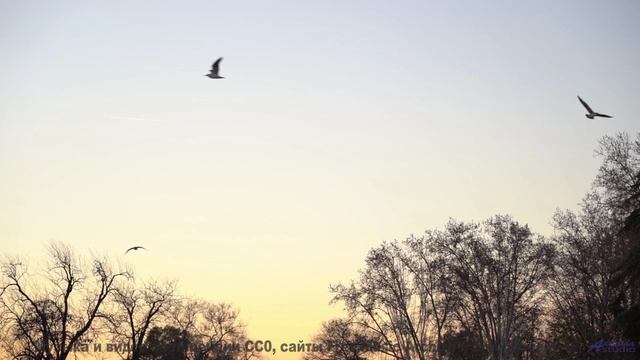 Цветущие поля и цветущие ноты! - Pastures -- Ketsa -- As Above So Below