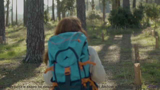Дикие звери и дикий вайб! - Коэффициент -- Александр Недугин -- Яжык Эжопа