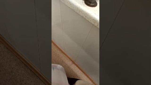 про трендовое мороженое из красно-белого