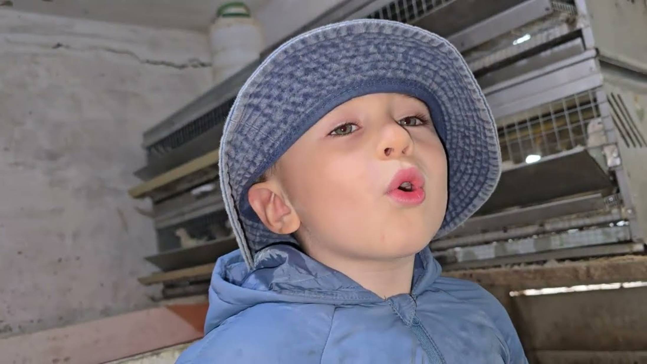 Андрей Новиков. Переселение с помощником 😂 с ума можно сойти 😂