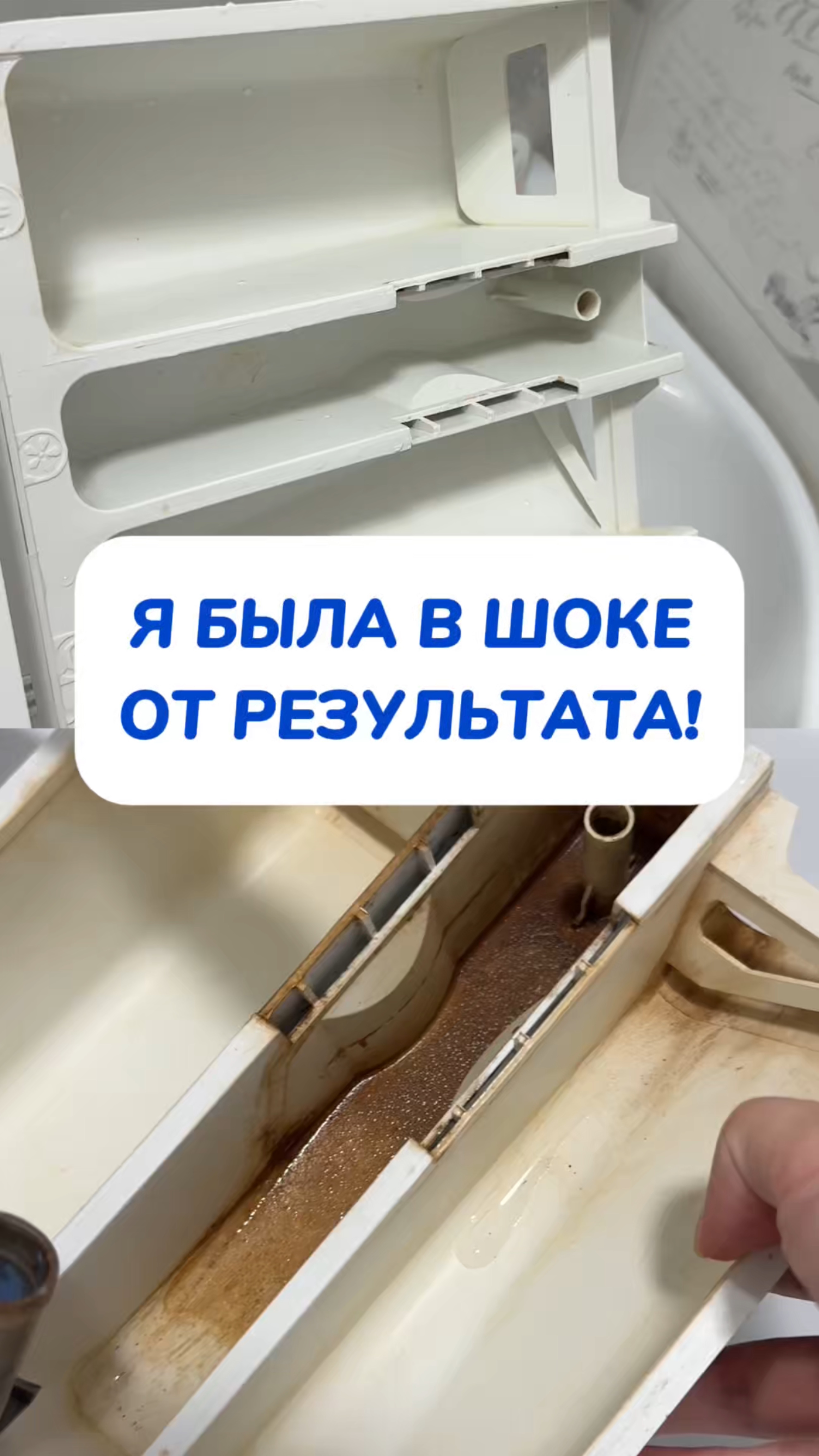 Я не верю своим глазам!