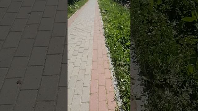 Парк у стадиона