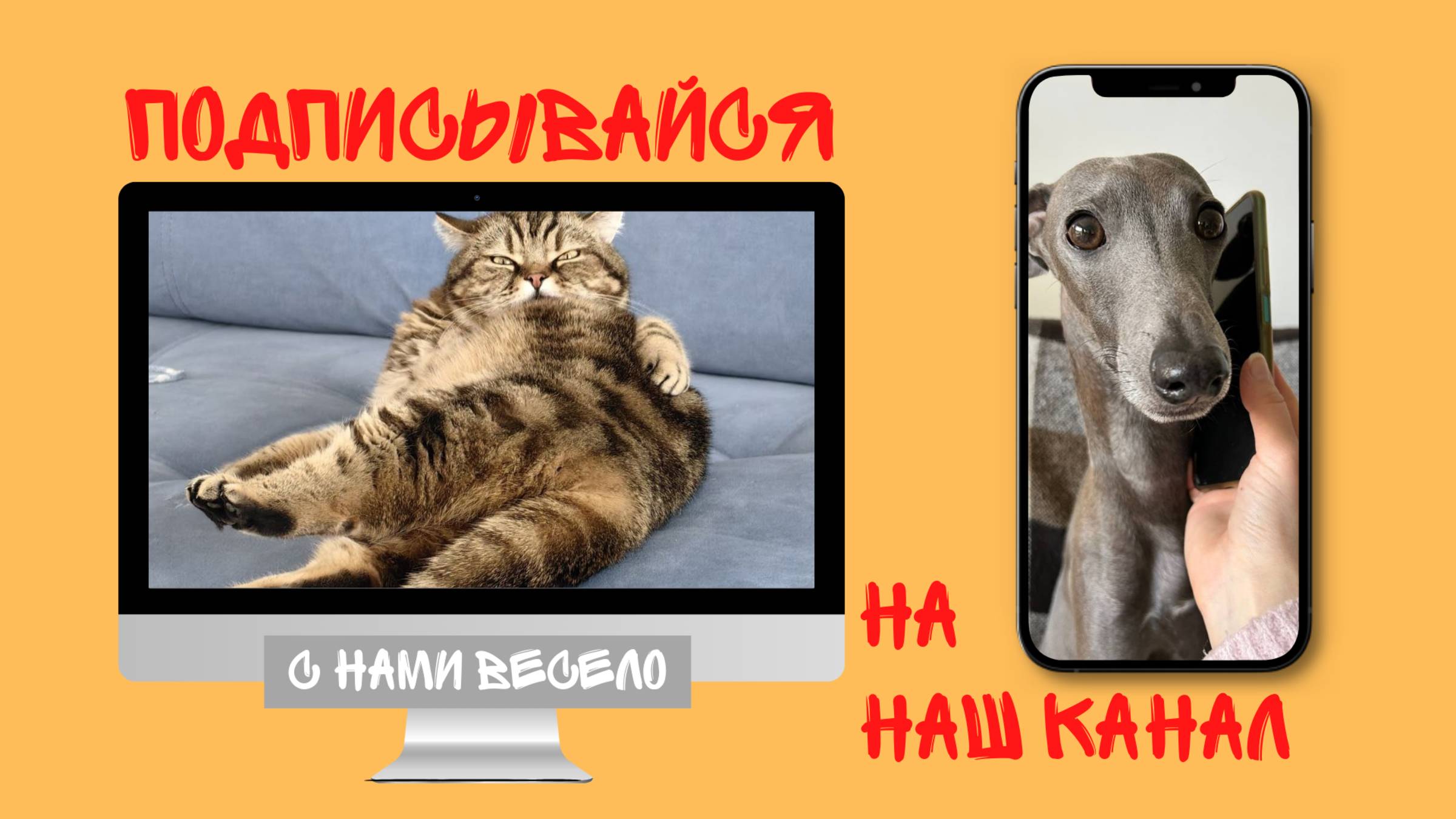 С нами весело!
Присоединяйтесь!
