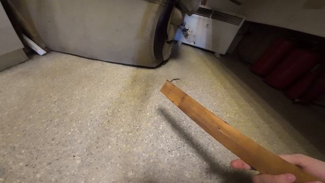 ЭП коротк  будем пауков спасить DJI_20250422000444_0681_D.mp3