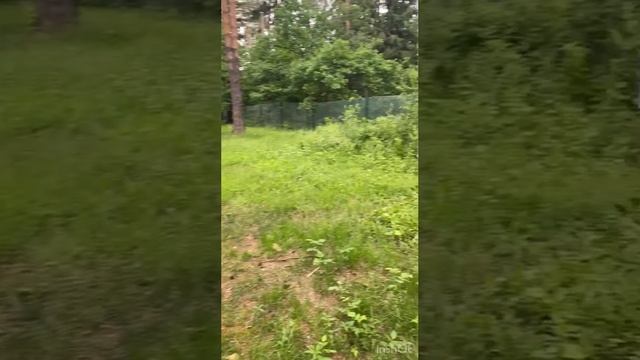 VID_20250614_101443_024.mp4