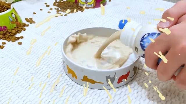 Мисс Кэйти и Мистер Макс (Miss Katy) Максимальная забота о питомцах Кэти